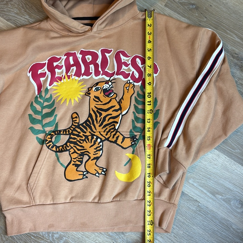 Reason Men's Khaki Fearless Tape Trip Graphic Print Tiger Hoodie Size medium - Picture 6 of 11